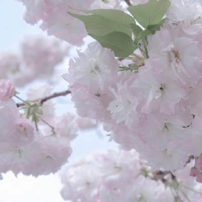 Furry插画构图实用思路福瑞群